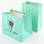 BTO Custom logo Gift Bag Glossy Clothes Branded Retail Shopping Paper Bags With Rope Handles - Imagen 2