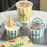 Xiamen Custom Logo Eco-Friendly Biodegradable Disposable Ice Cream Cups 3oz-16oz Food Grade With Lids for Kulfi Dondurma Spumoni - Image 2