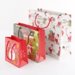 BTO Custom logo Gift Bag Glossy Clothes Branded Retail Shopping Paper Bags With Rope Handles - Imagen 4